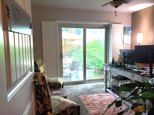 3 Columbella St, Bay City, TX 77414 - photo 17