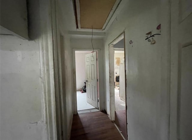 122 Amundsen St, Houston, TX 77009 - corridor featuring attic access and wood finished floors
