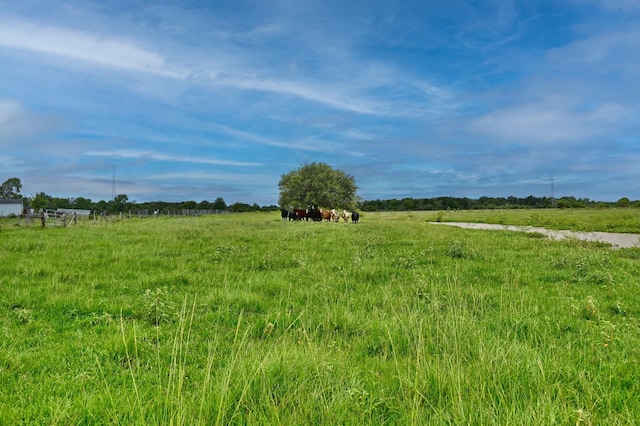 00 Lisa Mae Rd, Bellville, TX 77418 - photo 8