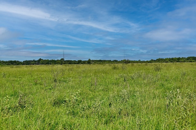 00 Lisa Mae Rd, Bellville, TX 77418 - photo 18