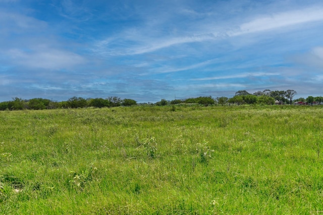 00 Lisa Mae Rd, Bellville, TX 77418 - photo 19