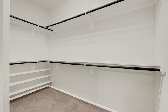 1909 Monaco Memorial Ln, Houston, TX 77043 - spacious closet featuring carpet floors