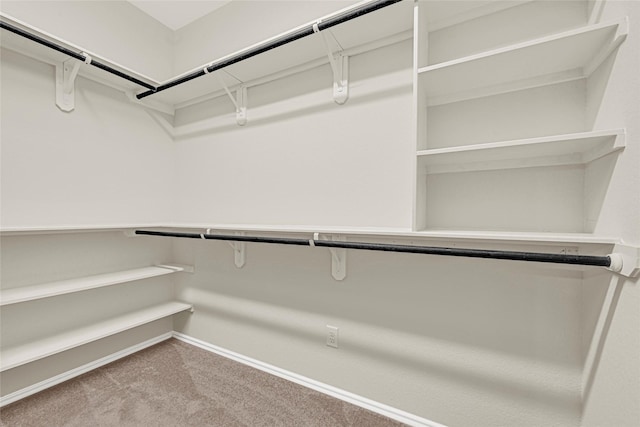 1909 Monaco Memorial Ln, Houston, TX 77043 - walk in closet with carpet floors