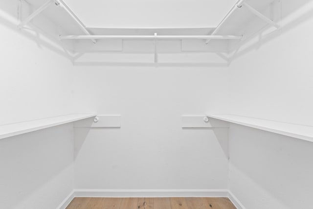 16310 Mulberry Run Ct, Sugar Land, TX 77498 - walk in closet with light wood-type flooring