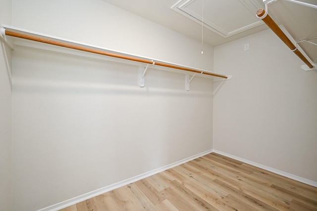 2046 Grand Park Dr, Missouri City, TX 77489 - spacious closet featuring attic access and light wood-type flooring