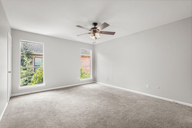 1601 S Shepherd Dr Unit 29, Houston, TX 77019 - photo 12