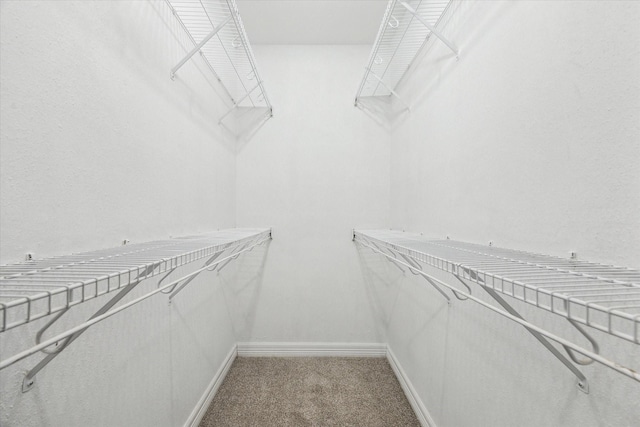 2100 Tanglewilde St Unit 360, Houston, TX 77063 - walk in closet featuring light colored carpet