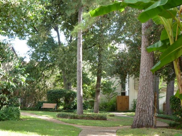 2100 Tanglewilde St Unit 360, Houston, TX 77063 - view of yard