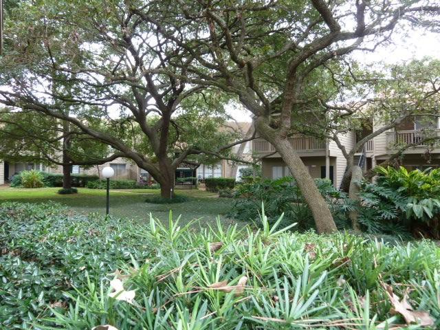 2100 Tanglewilde St Unit 360, Houston, TX 77063 - view of yard