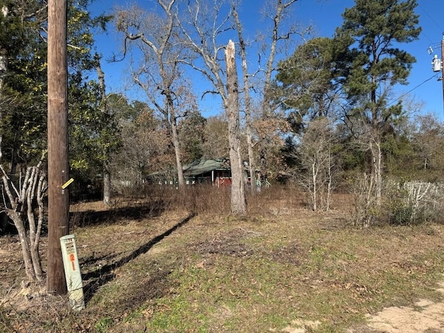 24532 Tyrone, Hempstead, TX 77445 - photo 10