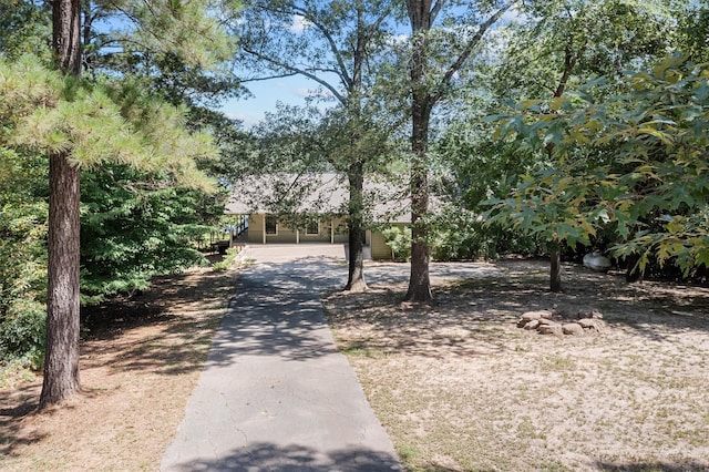 386 Dailey Rd, Crockett, TX 75835 - view of property hidden behind natural elements