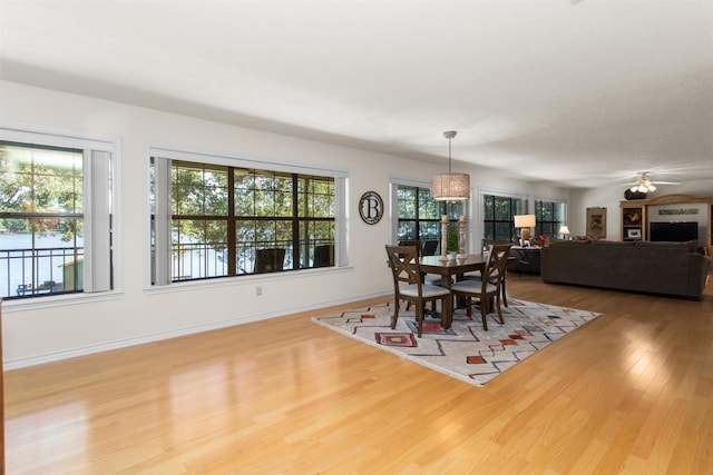 386 Dailey Rd, Crockett, TX 75835 - dining room featuring wood finished floors and a ceiling fan