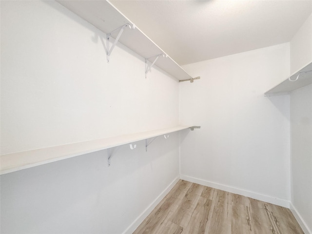 14214 Morinscott, Houston, TX 77049 - walk in closet with light wood finished floors