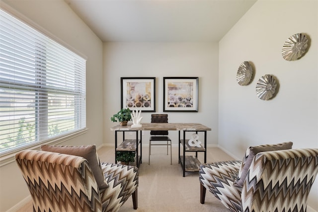 3210 Falling Brook Dr, Baytown, TX 77521 - office with light carpet and baseboards
