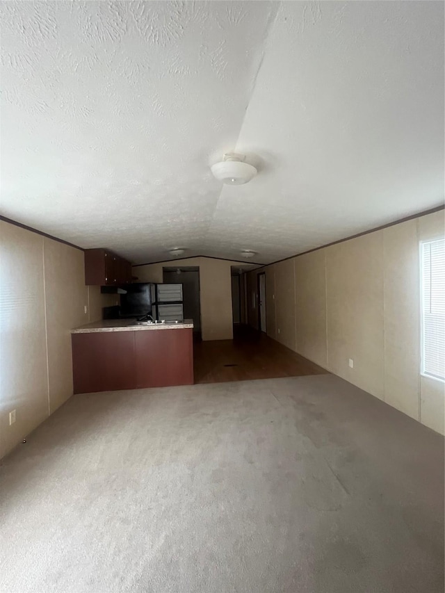 16906 Balmoral, Montgomery, TX 77316 - unfurnished living room with carpet, vaulted ceiling, and a textured ceiling