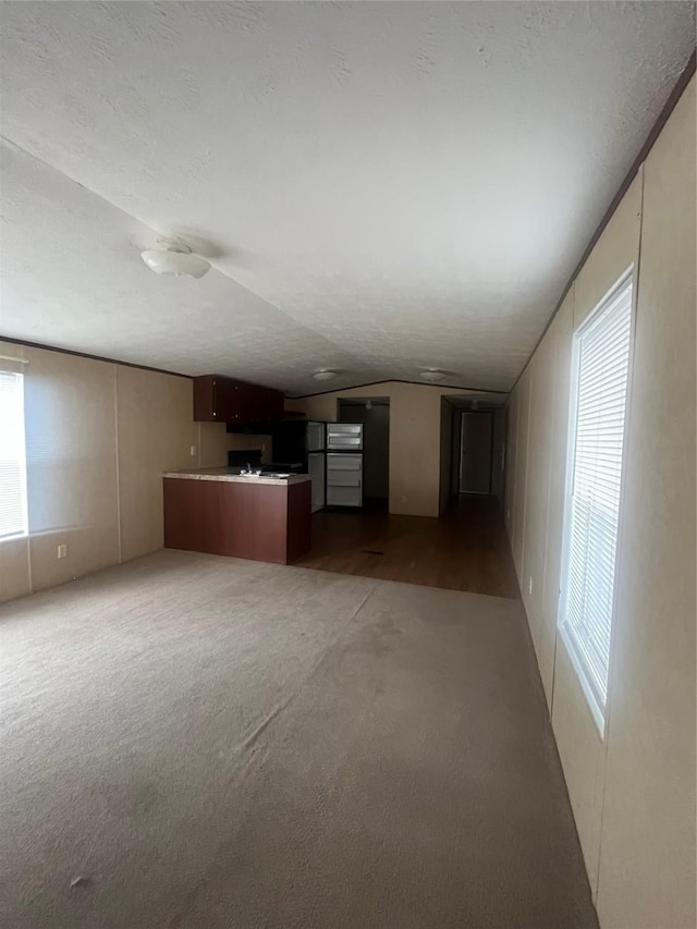 16906 Balmoral, Montgomery, TX 77316 - unfurnished living room with healthy amount of natural light, lofted ceiling, and light colored carpet