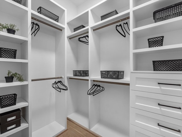 5240 Cornish Unit B, Houston, TX 77007 - spacious closet with light wood-style flooring