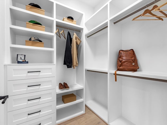 5240 Cornish Unit B, Houston, TX 77007 - spacious closet featuring light wood-style floors