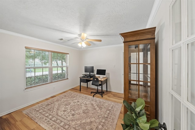 5207 Caprock Dr, Pearland, TX 77584 - office space featuring ornamental molding, a ceiling fan, light wood finished floors, and a textured ceiling