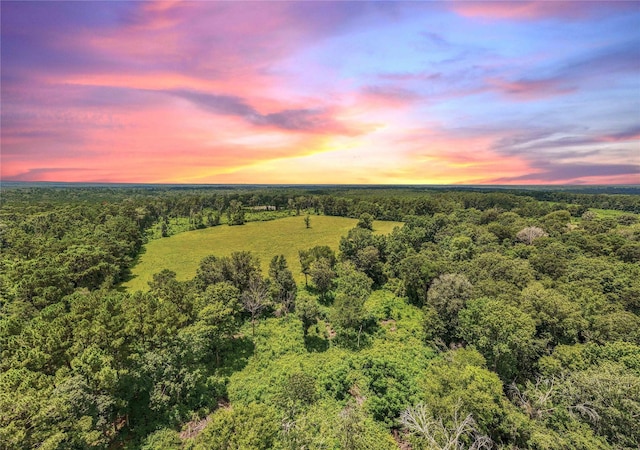 398 County Road 172, Jasper, TX 75951 - photo 35