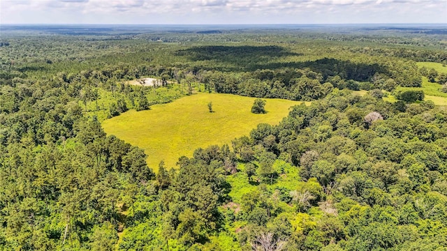 398 County Road 172, Jasper, TX 75951 - photo 41