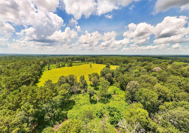398 County Road 172, Jasper, TX 75951 - photo 47