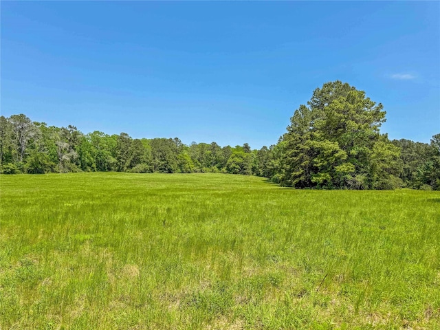 398 County Road 172, Jasper, TX 75951 - photo 27