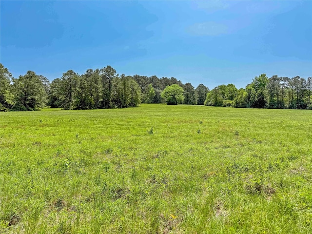398 County Road 172, Jasper, TX 75951 - photo 7
