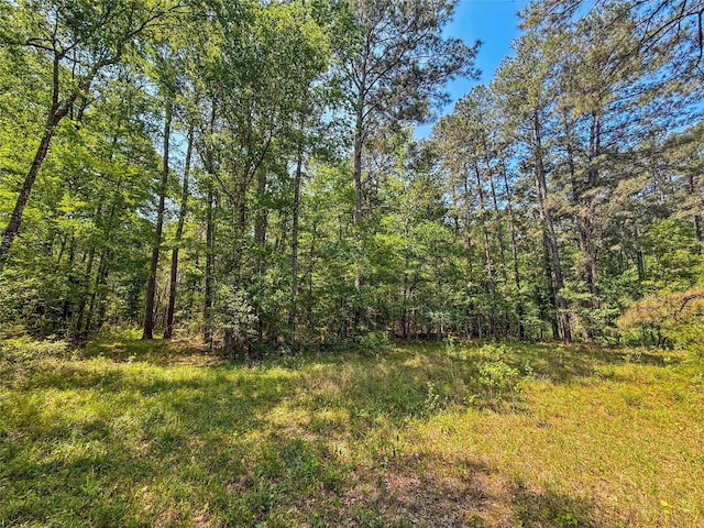 398 County Road 172, Jasper, TX 75951 - photo 29