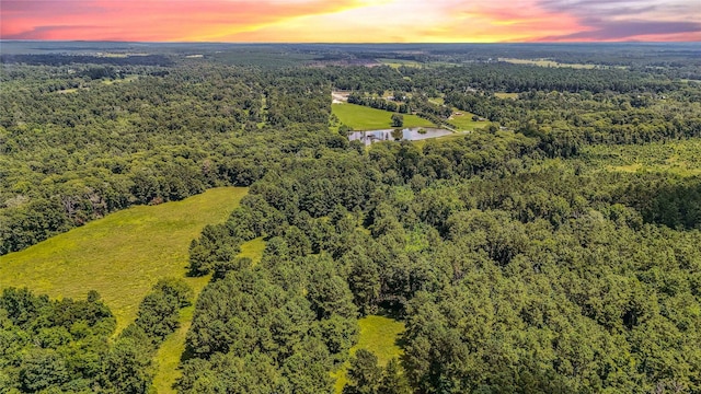398 County Road 172, Jasper, TX 75951 - photo 48