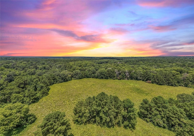 398 County Road 172, Jasper, TX 75951 - photo 2
