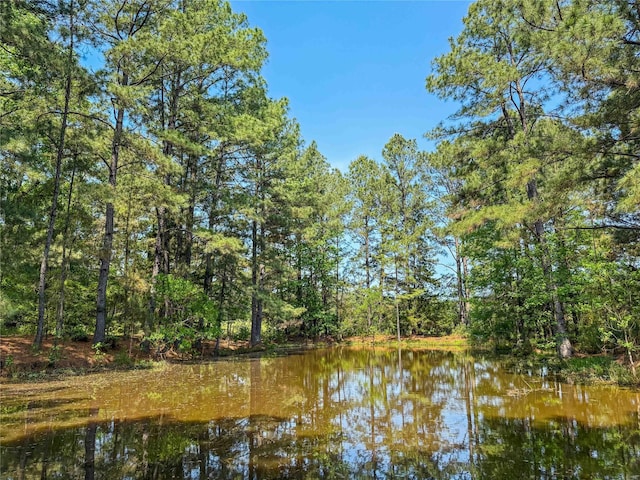 398 County Road 172, Jasper, TX 75951 - photo 20