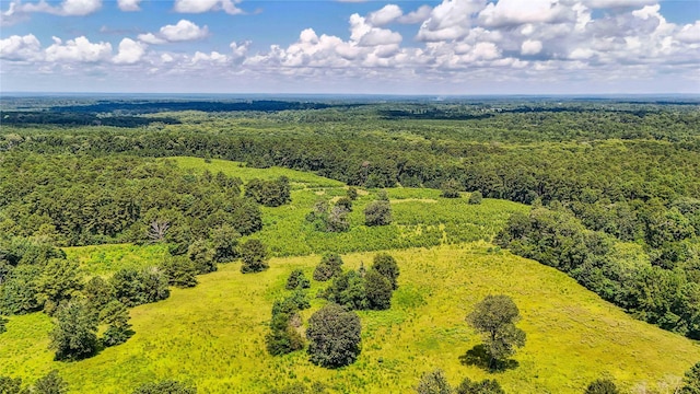 398 County Road 172, Jasper, TX 75951 - photo 10