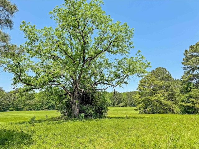 398 County Road 172, Jasper, TX 75951 - photo 26