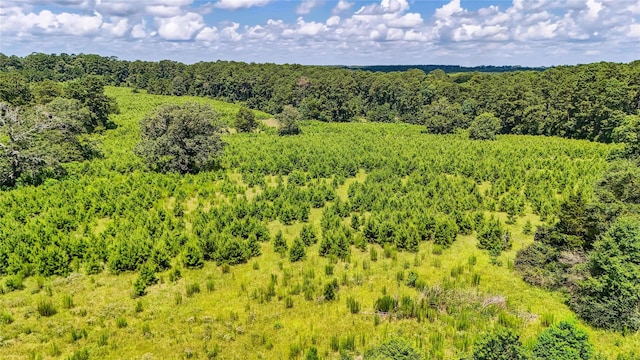 398 County Road 172, Jasper, TX 75951 - photo 17