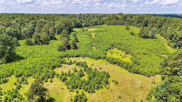 398 County Road 172, Jasper, TX 75951 - photo 11