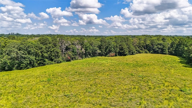 398 County Road 172, Jasper, TX 75951 - photo 42