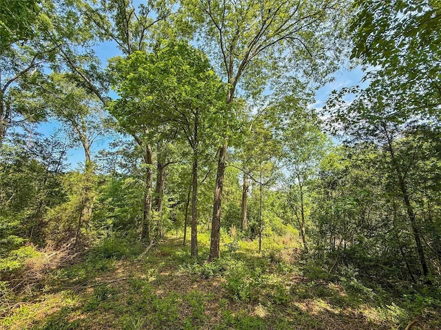 398 County Road 172, Jasper, TX 75951 - photo 28