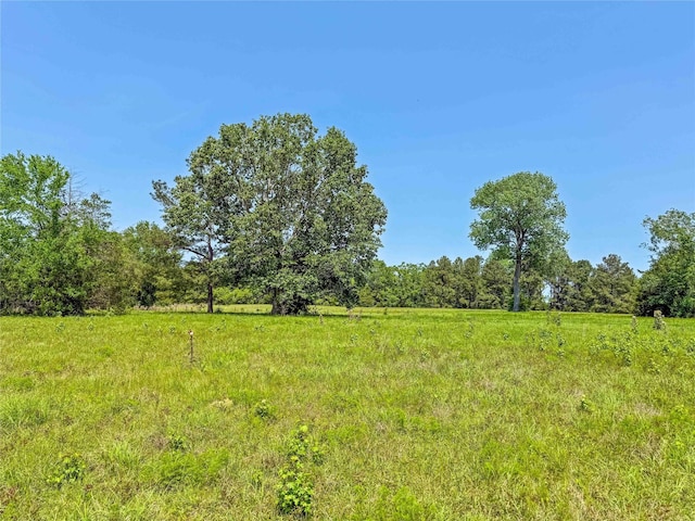 398 County Road 172, Jasper, TX 75951 - photo 24