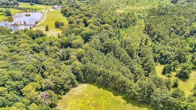 398 County Road 172, Jasper, TX 75951 - photo 44