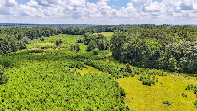 398 County Road 172, Jasper, TX 75951 - photo 15