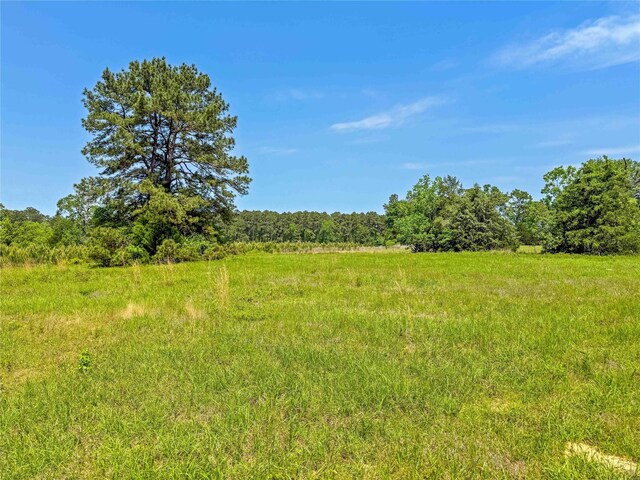 398 County Road 172, Jasper, TX 75951 - photo 23