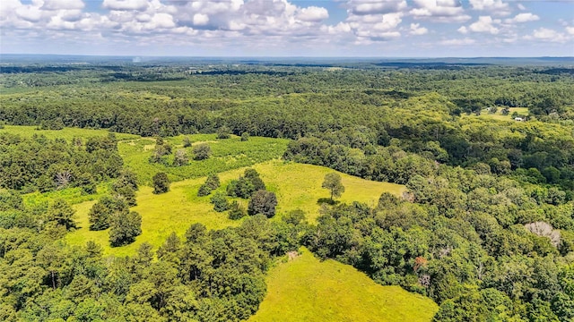 398 County Road 172, Jasper, TX 75951 - photo 9