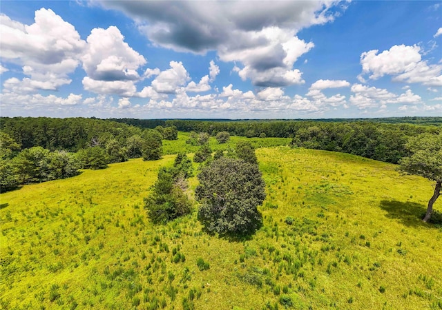398 County Road 172, Jasper, TX 75951 - photo 5