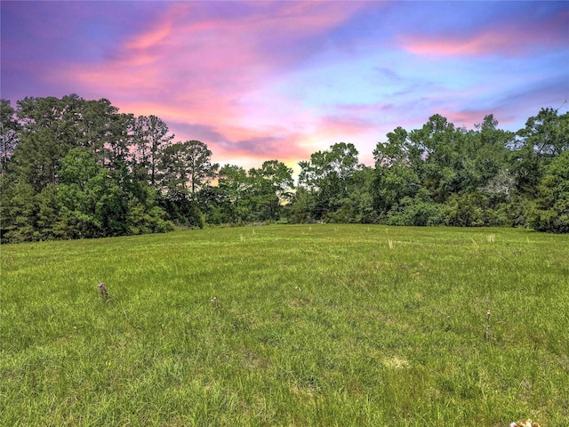 398 County Road 172, Jasper, TX 75951 - photo 1