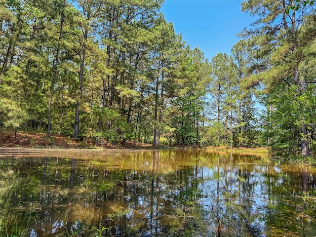 398 County Road 172, Jasper, TX 75951 - photo 21