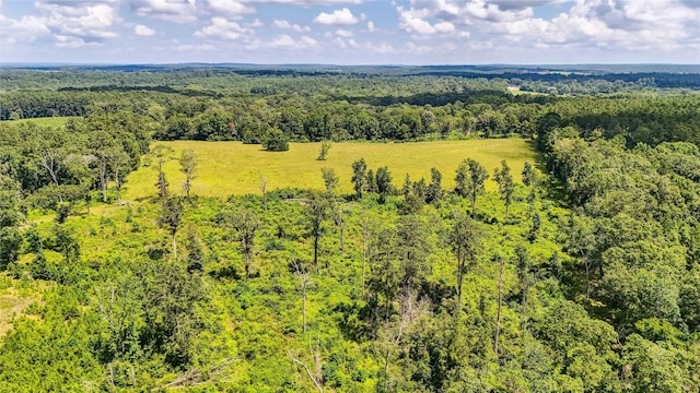 398 County Road 172, Jasper, TX 75951 - photo 34