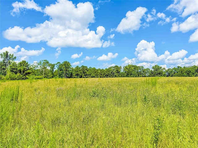 398 County Road 172, Jasper, TX 75951 - photo 3