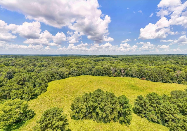 398 County Road 172, Jasper, TX 75951 - photo 46