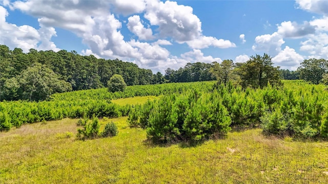 398 County Road 172, Jasper, TX 75951 - photo 16